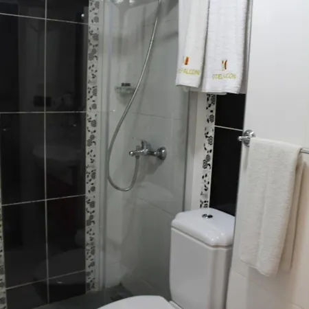 Falcon Otel 2*